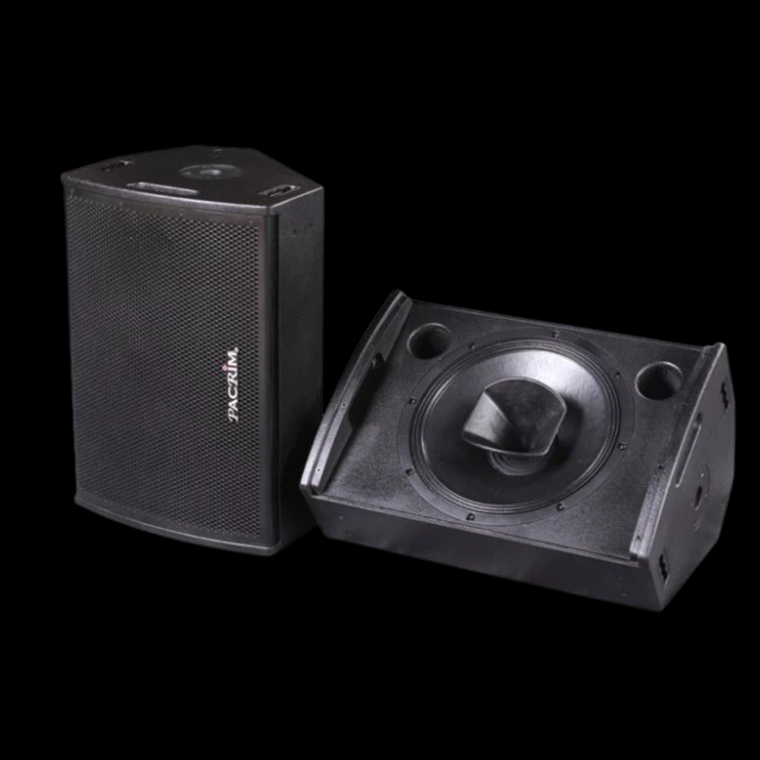 Centralina DMX 256 ch (31) Monitor Attivo Coassiale 12